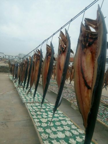 青岛胶南,琅琊台,常年销售,干海产品鲅鱼,鲳鱼,海孩了鱼,红头鱼