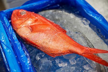 海鲜销售食品新鲜鱼类日本街头市场日本街头市场的新鲜鱼海鲜