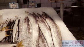 广西北海 超市销售水海产品以冰鲜为主